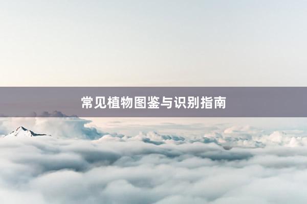 常见植物图鉴与识别指南