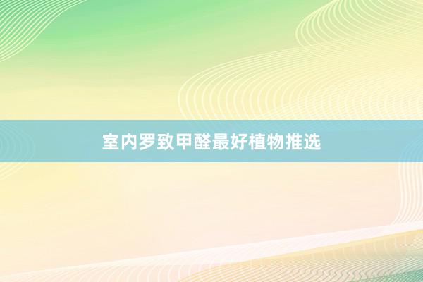 室内罗致甲醛最好植物推选