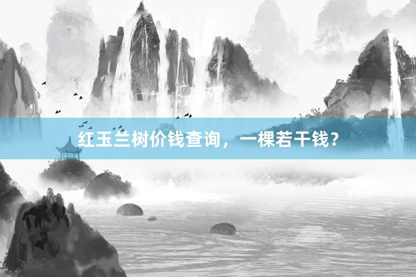 红玉兰树价钱查询，一棵若干钱？