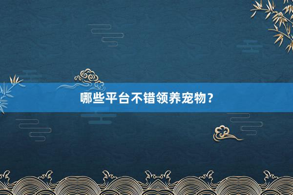 哪些平台不错领养宠物？