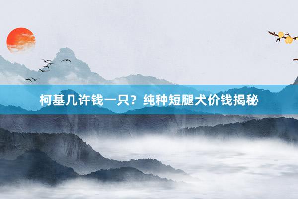 柯基几许钱一只?纯种短腿犬价钱揭秘